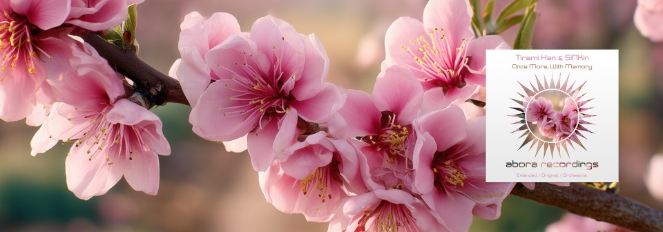 Tirami Han & SINKin - Once More, With Memory