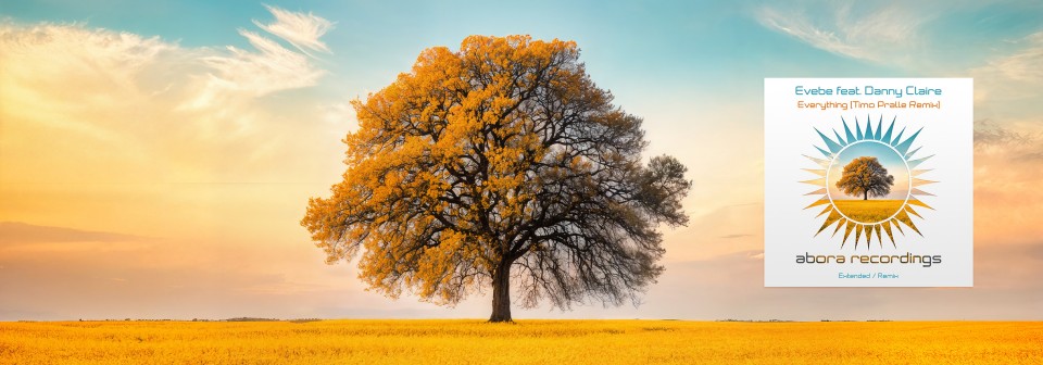 Evebe feat. Danny Claire - Everything (Timo Pralle Remix)