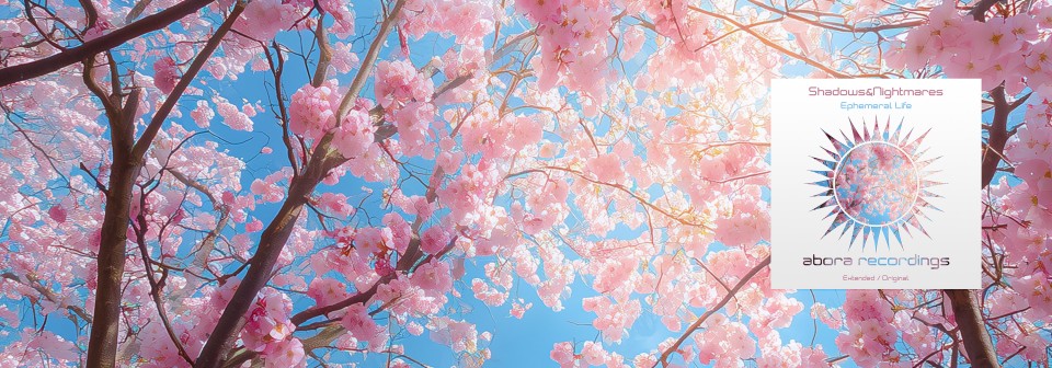 Shadows&Nightmares; - Ephemeral Life