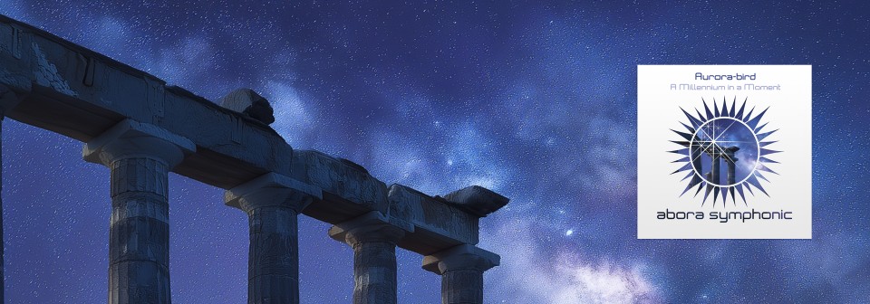Aurora-bird (CHN) - A Millennium in a Moment